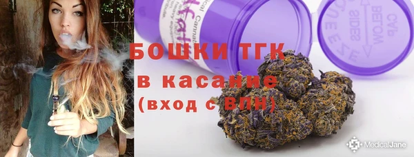 Альфа ПВП Аркадак