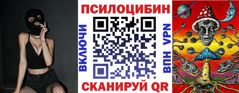 Псилоцибиновые грибы GOLDEN TEACHER  купить   Балтийск 