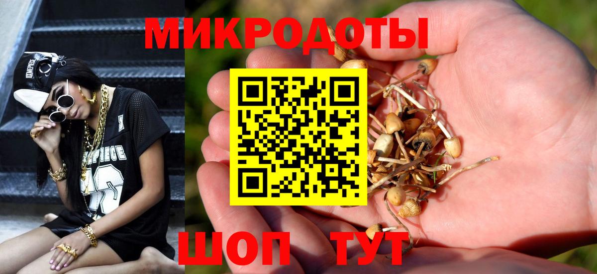 Балтийск  цены   Вход с VPN  Галлюциногенные грибы Psilocybine cubensis  Псилоцибиновые грибы Psilocybine cubensis 