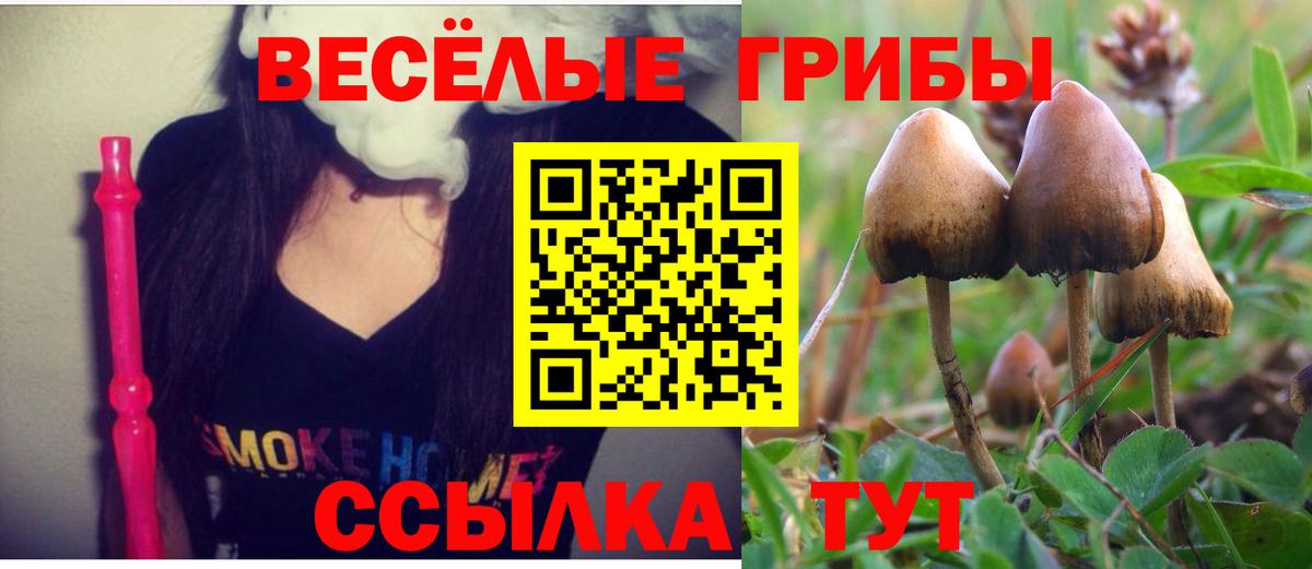 Псилоцибиновые грибы MAGIC MUSHROOMS Балтийск