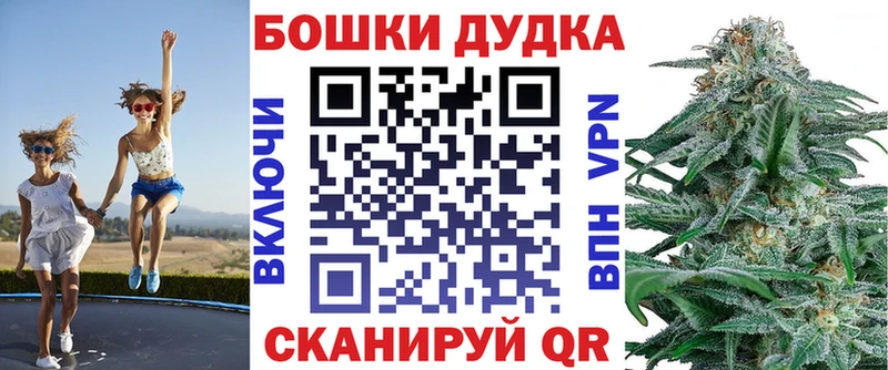 Марихуана сатива Балтийск